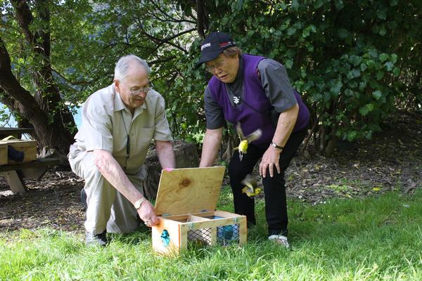 Mabel and Graeme Grennell_Te Atiawa Kaumatua getting a surprise as they release the Mohua